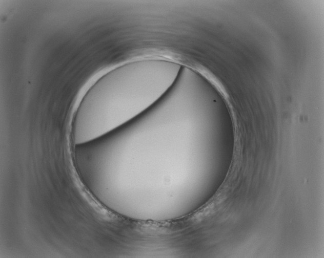 X0000085261104200703091317