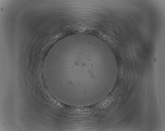 X0000085261105200703091316