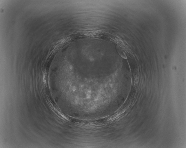 X0000085261106200703091316