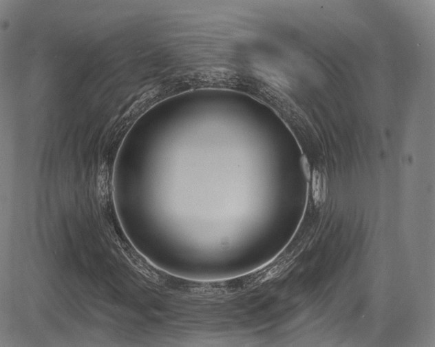 X0000085261107200703091316