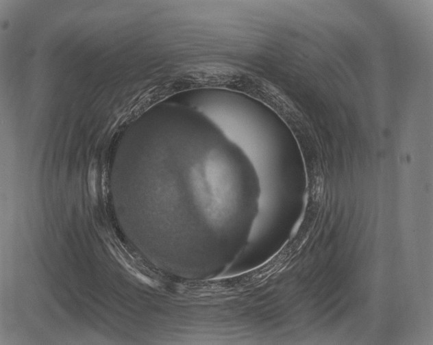 X0000085261108200703091316