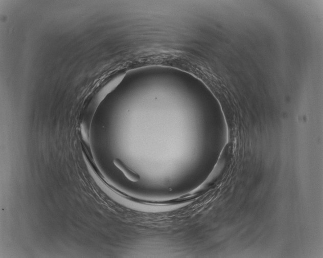 X0000085261109200703091316