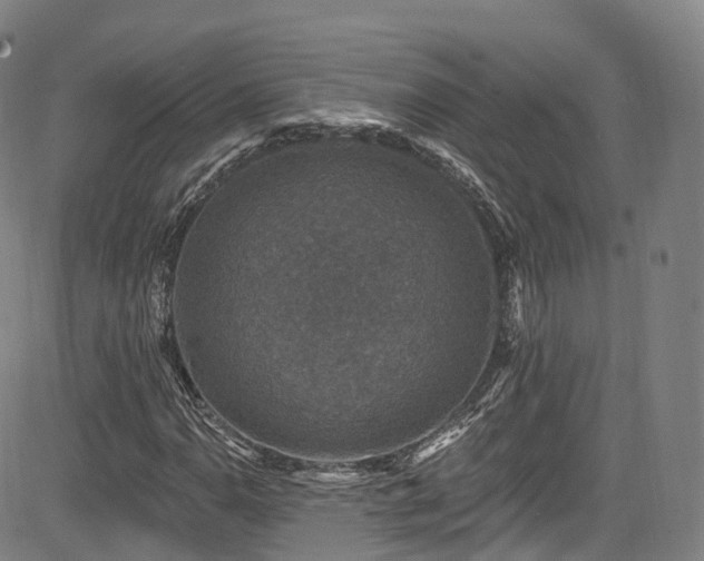 X0000085261110200703091316