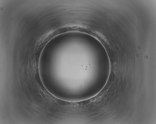 X0000085261111200703091316