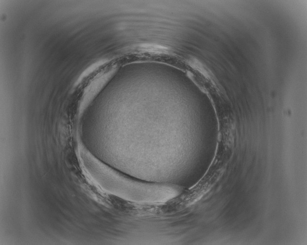 X0000085261112200703091316