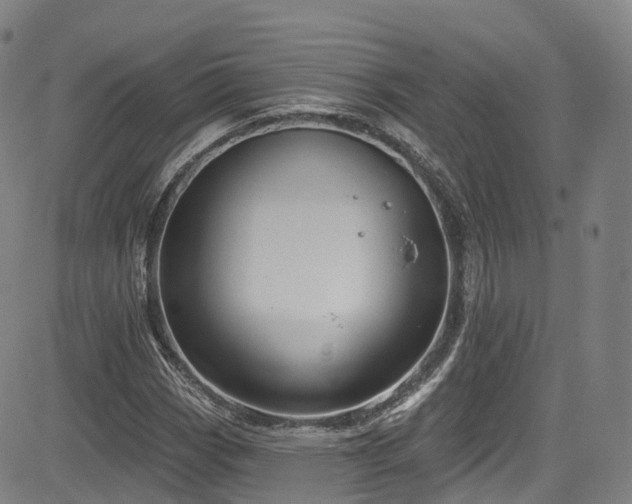 X0000085261113200703091316