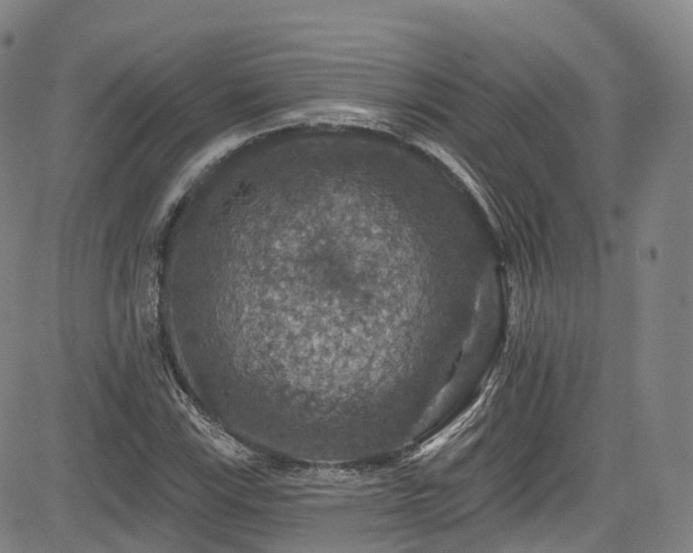 X0000085261115200703091316