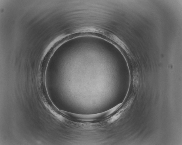 X0000085261116200703091316