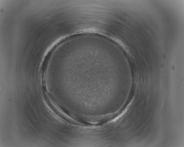 X0000085261118200703091316