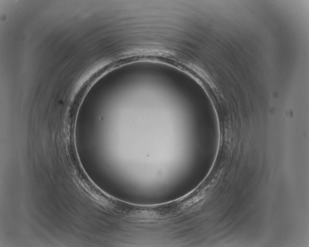 X0000085261119200703091316