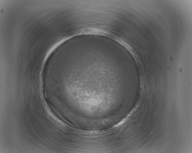 X0000085261120200703091316