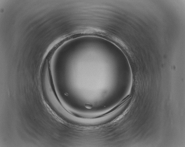 X0000085261122200703091316