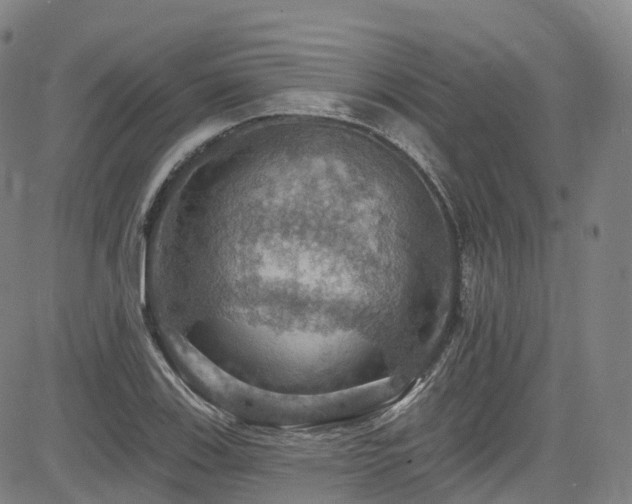 X0000085261123200703091316