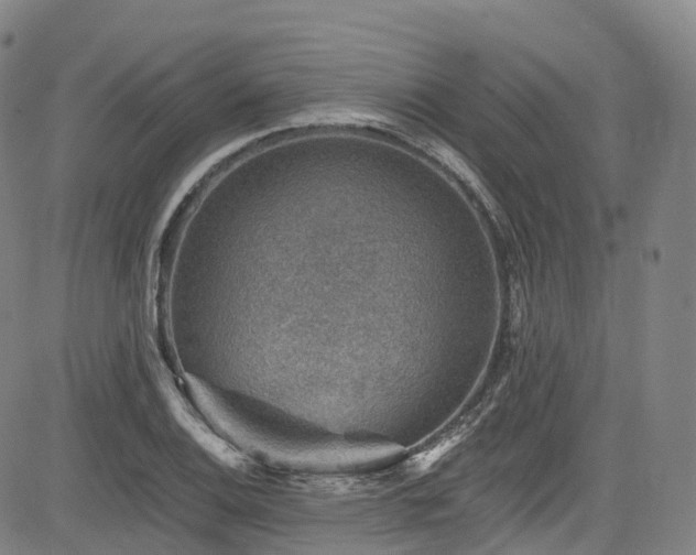 X0000085261124200703091316