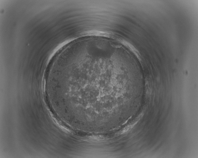 X0000085261125200703091317