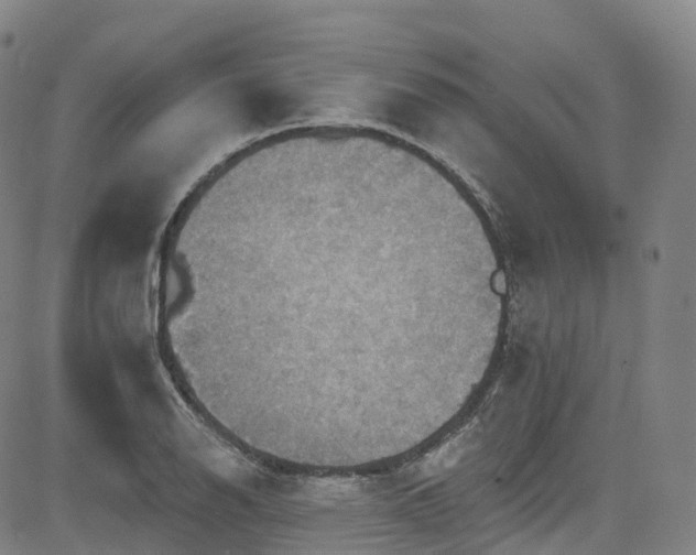 X0000085261126200703091317