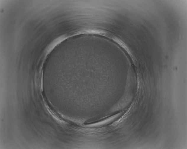 X0000085261127200703091317