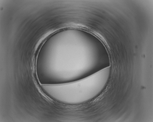 X0000085261128200703091317