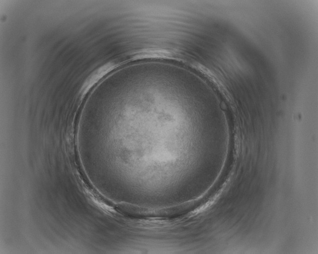 X0000085261129200703091317