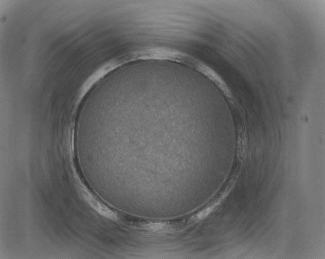 X0000085261130200703091317