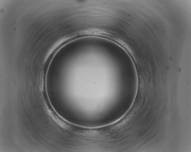 X0000085261131200703091317