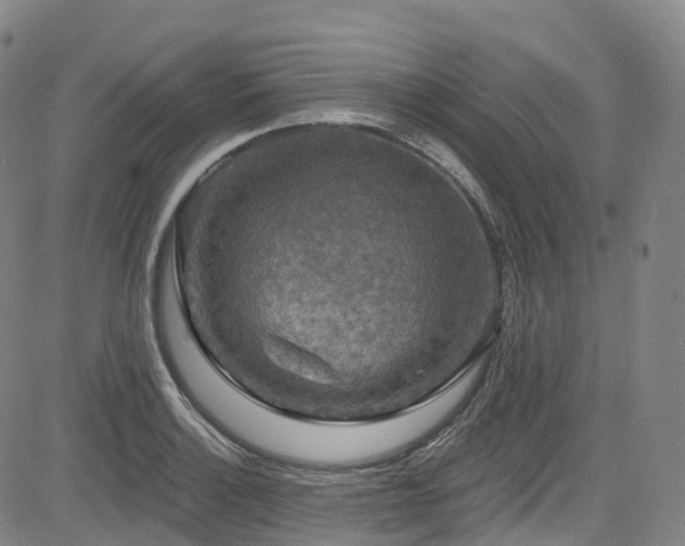 X0000085261132200703091317