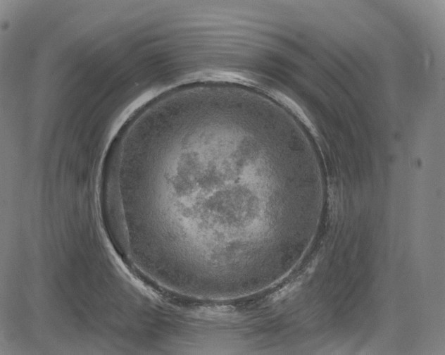 X0000085261133200703091317