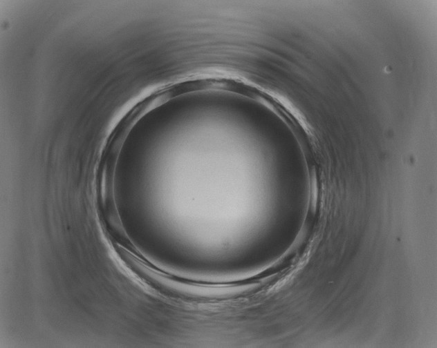 X0000085261134200703091317