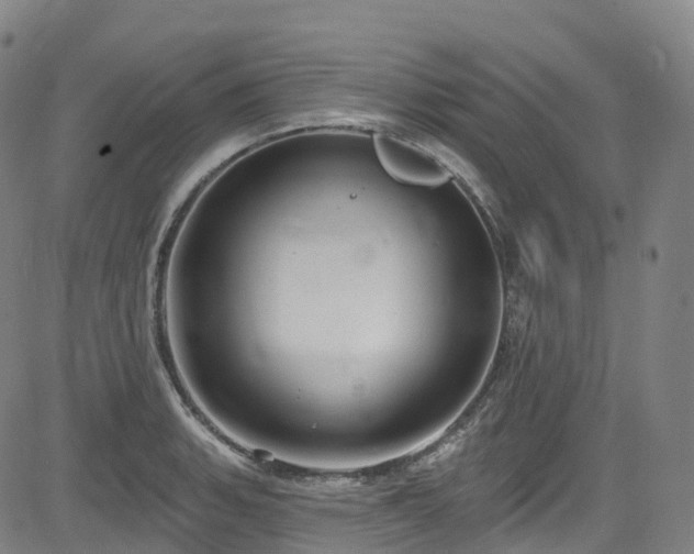 X0000085261135200703091317