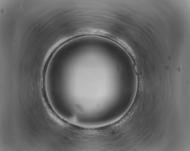 X0000085261136200703091317