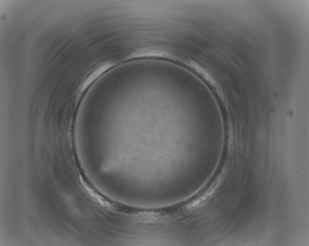 X0000085261137200703091317