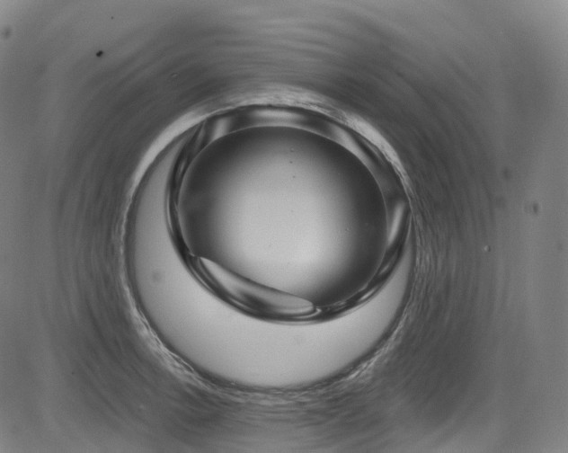 X0000085261138200703091317