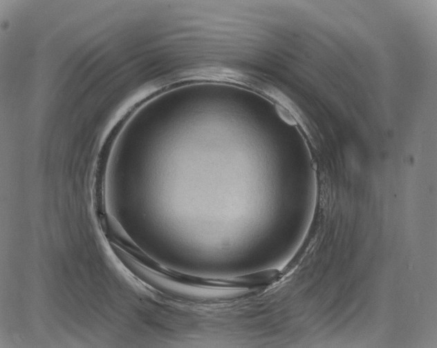 X0000085261139200703091317