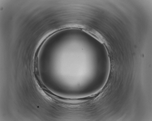 X0000085261140200703091317