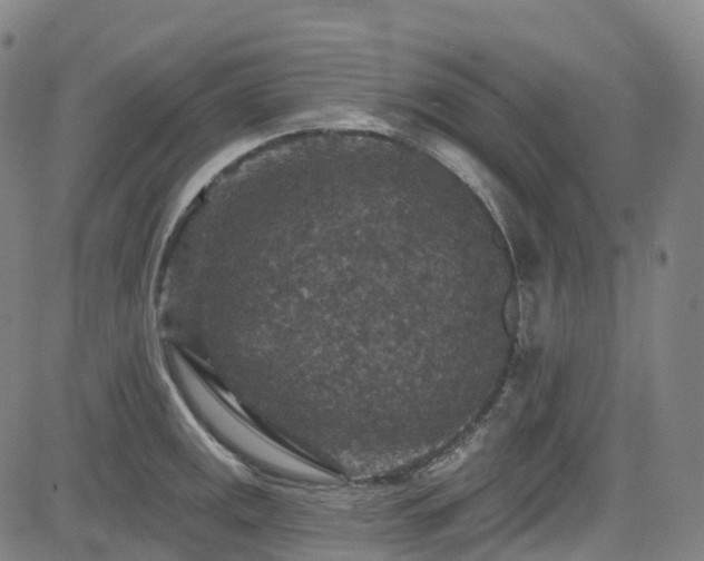 X0000085261141200703091317