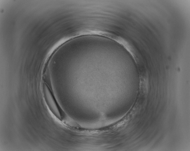 X0000085261143200703091317