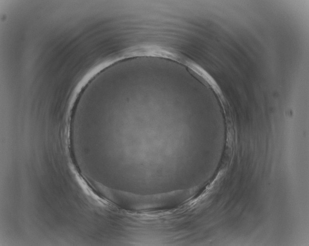 X0000085261144200703091317