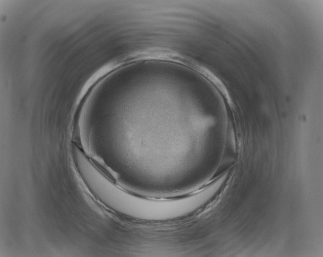 X0000085261146200703091317