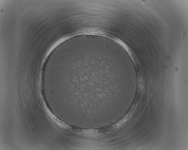 X0000085261147200703091317