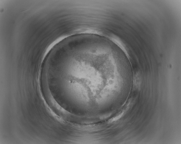 X0000085261149200703091317