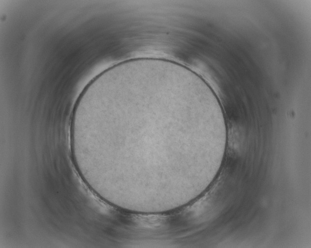 X0000085261150200703091317