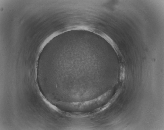 X0000085261151200703091317