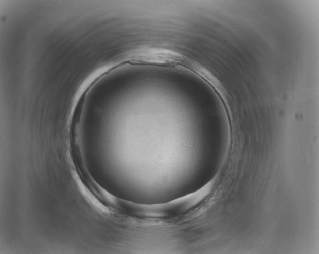 X0000085261152200703091317