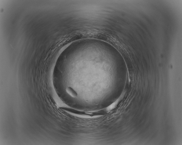 X0000085261153200703091316