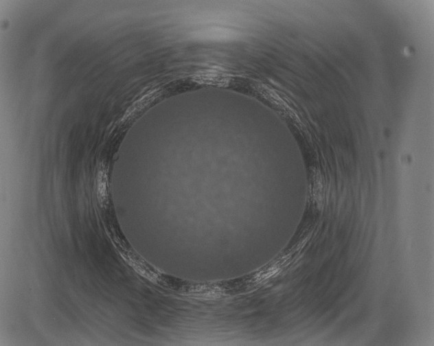 X0000085261154200703091316