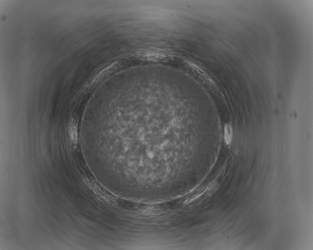 X0000085261155200703091316