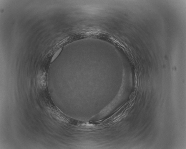 X0000085261156200703091316