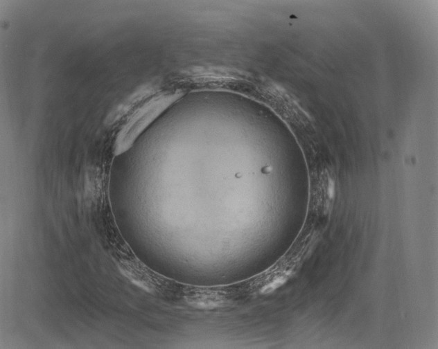 X0000085261157200703091316