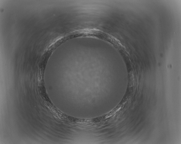 X0000085261158200703091316