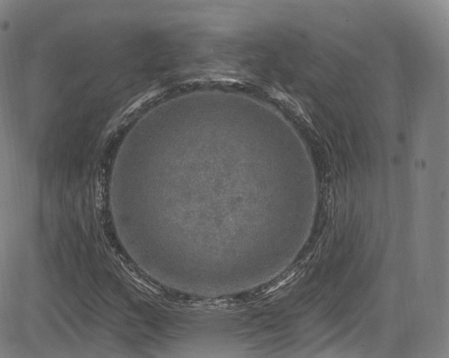 X0000085261159200703091316